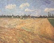 Vincent Van Gogh Ploughed Field (nn04) oil